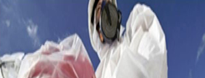 Asbestos Removal